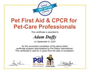 First Aid and CPCR - The Pet Nanny - Dog Walking & Pet Sitting in Melbourne