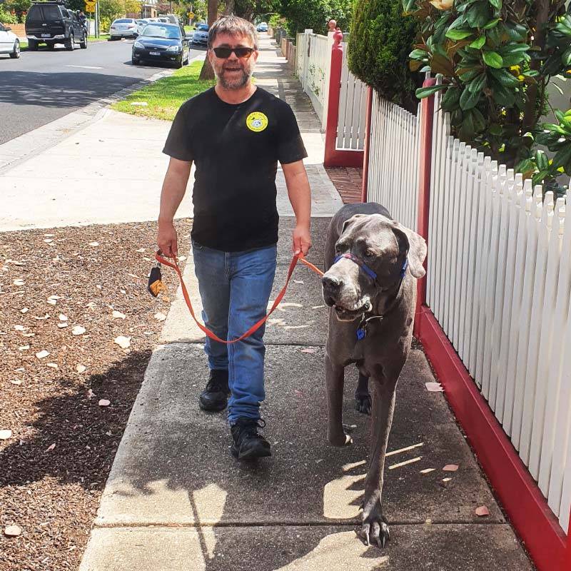 Dog Walking Service Melbourne